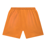 Hellstar Flame Shorts