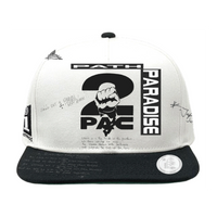 Hellstar I Get Around Hat